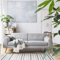 modern-scandianvian-living-room-interior-with-design-sofa-